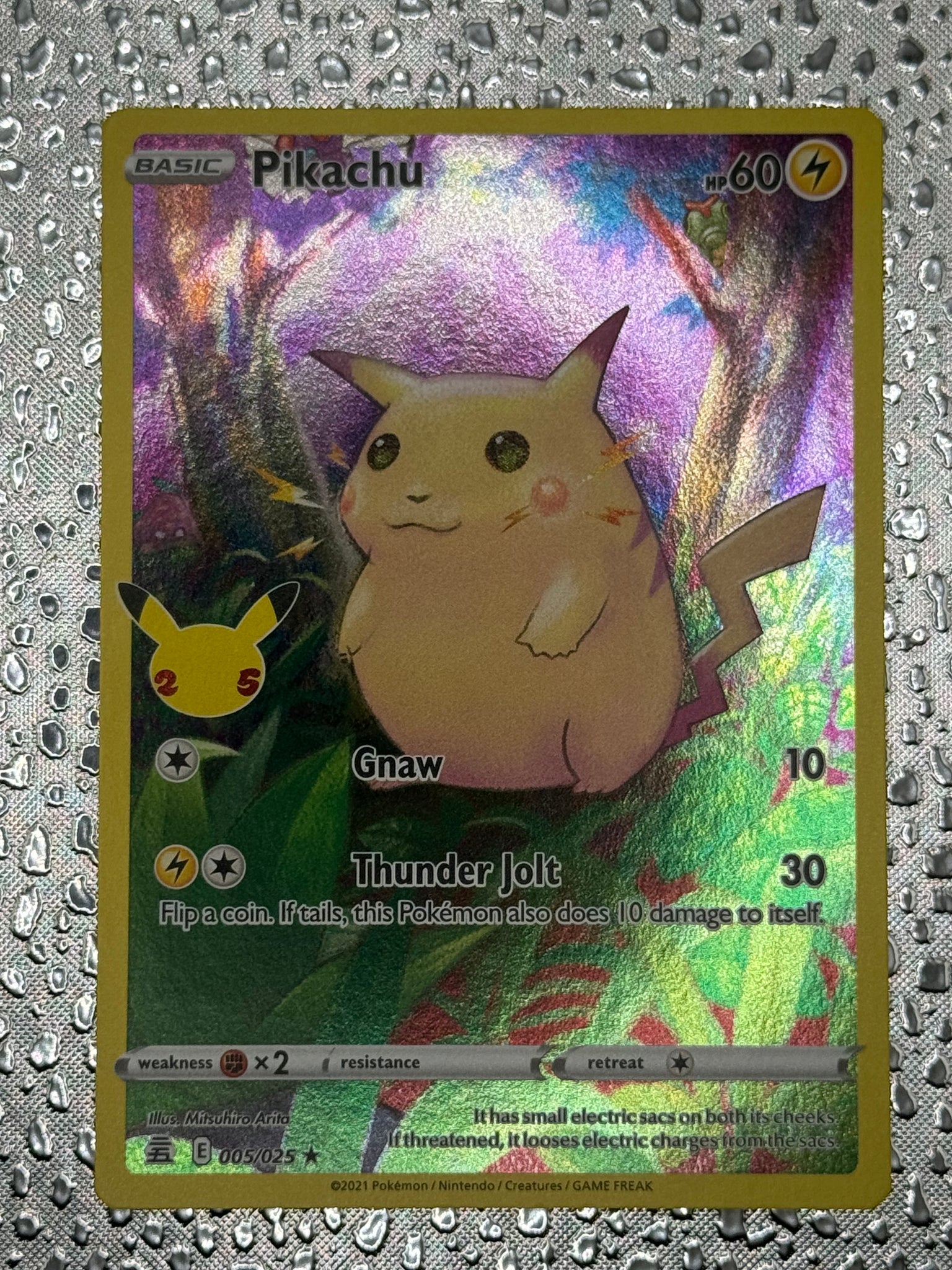 Pikachu #5 Pokemon Celebrations